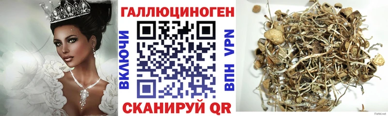 Псилоцибиновые грибы Magic Shrooms  Яблоновский 